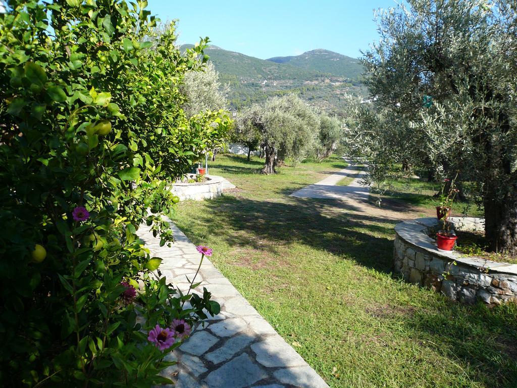 Liossis Rooms & Apartments Skopelos Town Bagian luar foto