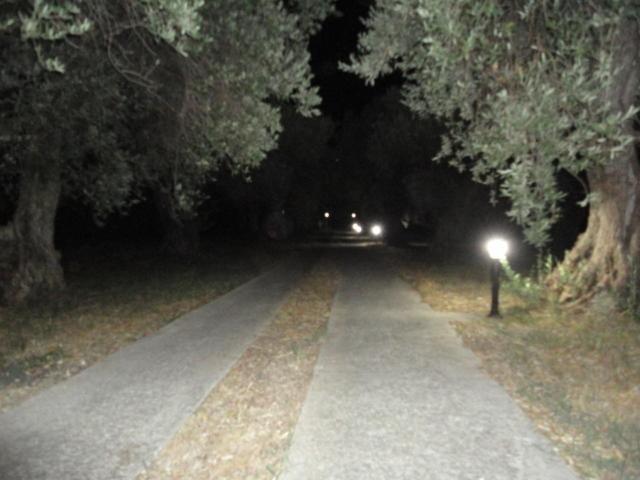 Liossis Rooms & Apartments Skopelos Town Bagian luar foto