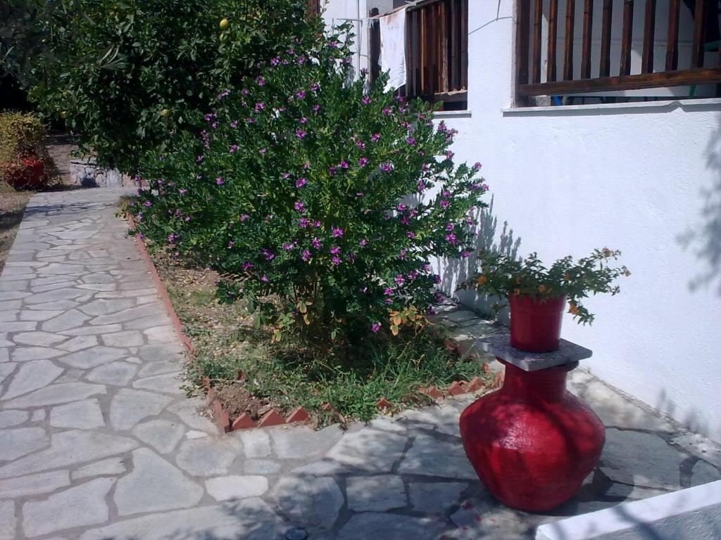 Liossis Rooms & Apartments Skopelos Town Bagian luar foto